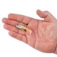 thumbnail image 5 of PowerBait® Agent E, 5 of 6