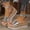 Silver, variant on Platform Sandals Women,Womens Sandals,Round Toe,Wedge,Buckle,Solid,Silver,6.5