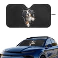 thumbnail image 2 of Xixirimido Car Windshield Sun Shade Car Sun Visor Block UV Rays Foldable Automotive Windshield Sunshades Front Window Sun Blocker Keep Your Vehicle Cool, Bernese Mountain Dog Black, 2 of 8