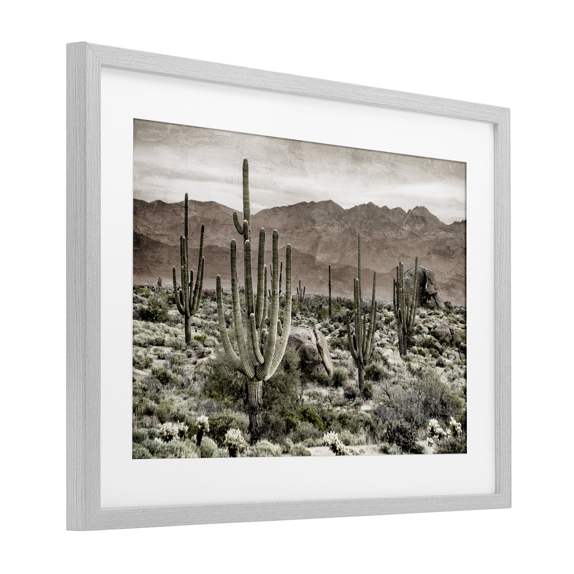 Stupell Industries Desert Land Cacti Wilderness Gray Framed Print Under Glass, design by Kim Allen