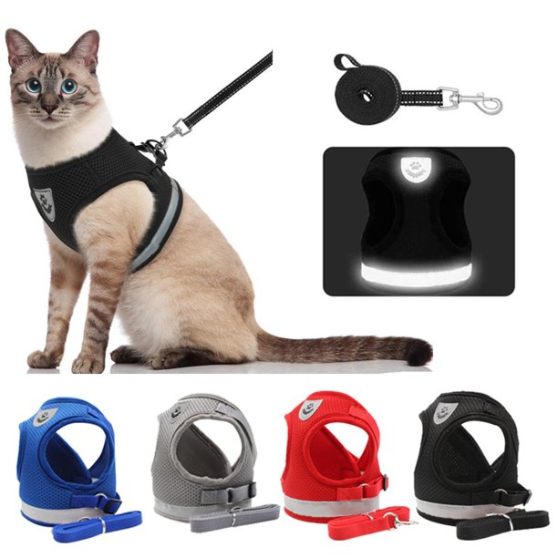 Cat Dog Adjustable Harness Summer Vest Walking Lead Leash Rope For Small Medium Puppy Dogs Collar Polyester Mesh Reflective HarnBlueL He Qiyong unisex