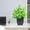 Green1, variant on RuiJiao Faux Mini Potted Plants, Artificial Plants in Pots Fake Greenery Arrangement for Rustic Farmhouse Indoor Table Centerpiece Mantel Shelf Kitchen Office Desk Decor
