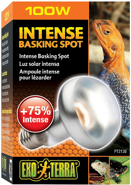 exo terra intense basking spot 100w