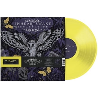 The Ramones - Leave Home - Music & Performance - Vinyl - Walmart.com