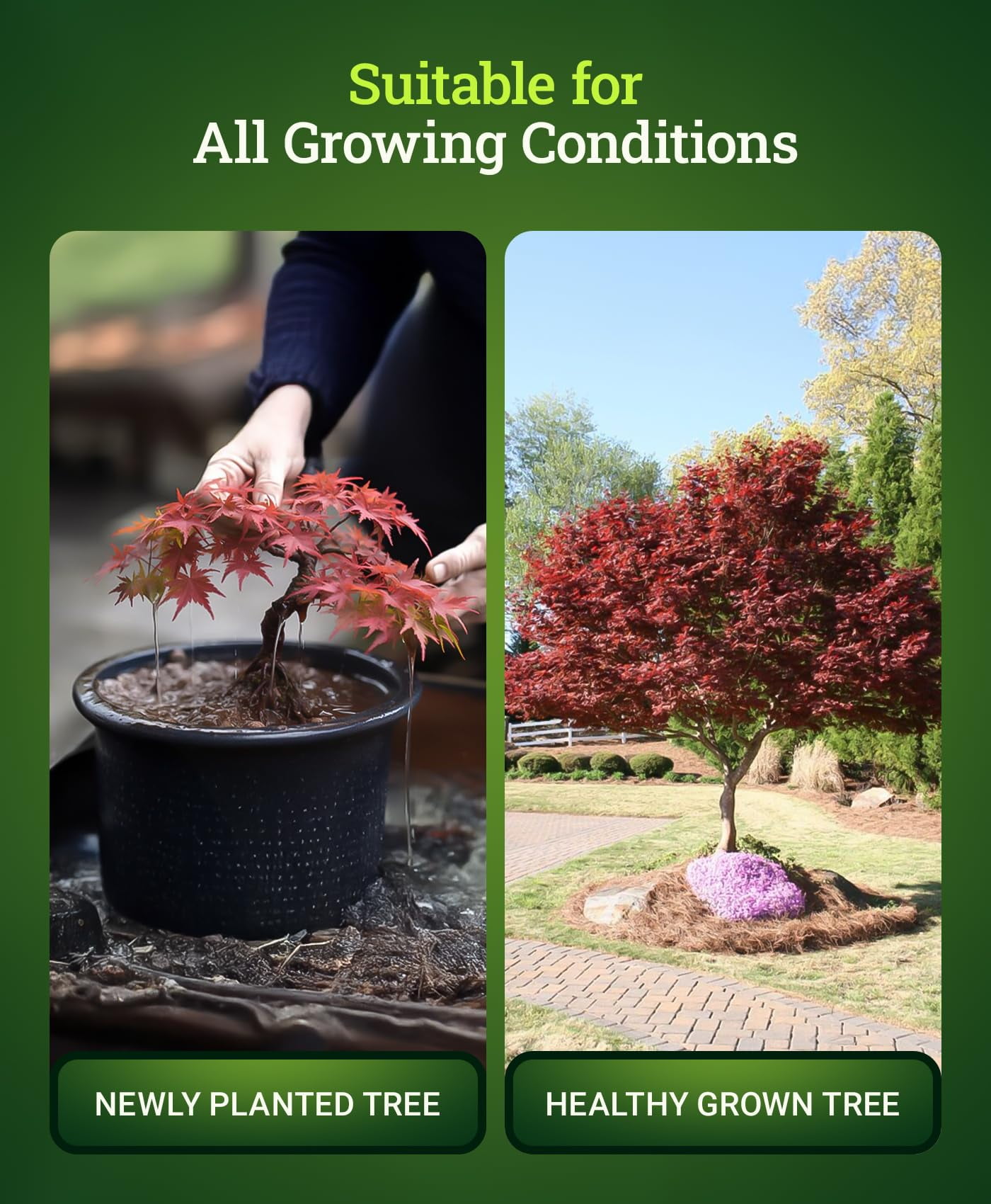 Happy Frog Japanese Maple Fertilizer, Nutrient-Rich Formula for Japanese Maples, & Low pH Feeders, NPK 4-3-4 (4 lb)