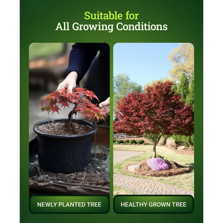 FoxFarm Happy Frog Japanese Maple Tree Fertilizer, 4 lb Bag