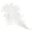 thumbnail image 1 of Unique Bargains 10-12 Inch Turkey Feathers, 1 Set Fluffy Bulk Natural Feathers for Crafts, White, 1 of 5