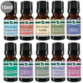 thumbnail image 5 of Fragrance Oil Gift Set of 10 Aromatic Scented Oil 10 mL each - Cotton Candy Strawberry Vanilla Gardenia Lilac Jasmine Cucumber Melon Violet Freesia Honeysuckle 10 ml / 0.33 oz Each by PrevenAge, 5 of 7