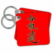 3dRose Aikido Calligraphy, Red - Key Chains, 2.25 by 2.25-inch, set of 2
