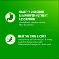 thumbnail image 5 of IAMS Proactive Health Adult Minichunks Chicken & Whole Grain Recipe Dry Dog Food, 5 Lb Bag, 5 of 9