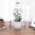 thumbnail image 2 of Plymor 9" x 15" Glass Display Dome Cloche (Interior size 8.75" x 13.25"), 2 of 2