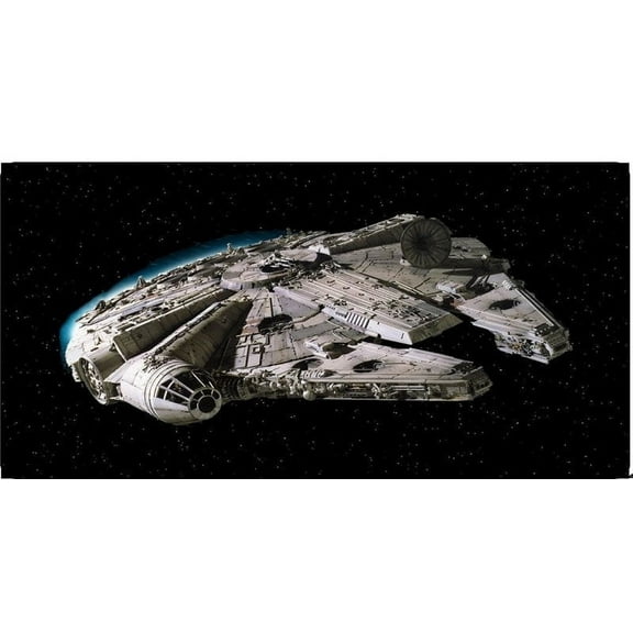 Millenium Falcon Photo License Plate