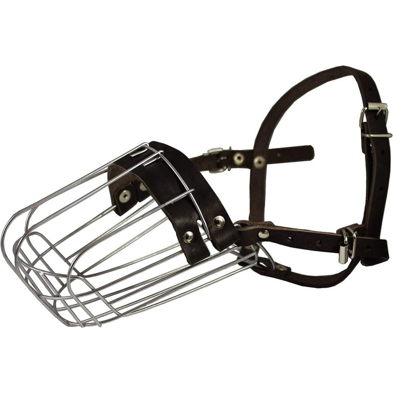 Male muzzle hotsell