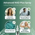 thumbnail image 3 of Spray de NAD+ Bulk Essentials 10 mg, 100 pulverizaciones, fabricado en EE. UU., 3 of 9