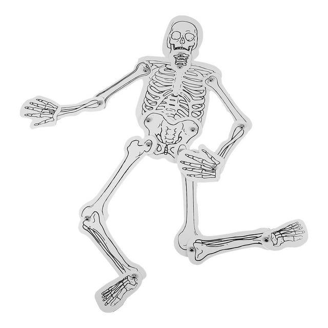 Shisuyan 1 Bag of Skeleton Handmade Science Kit Education Science Kit Human Skeleton Cognitive Material