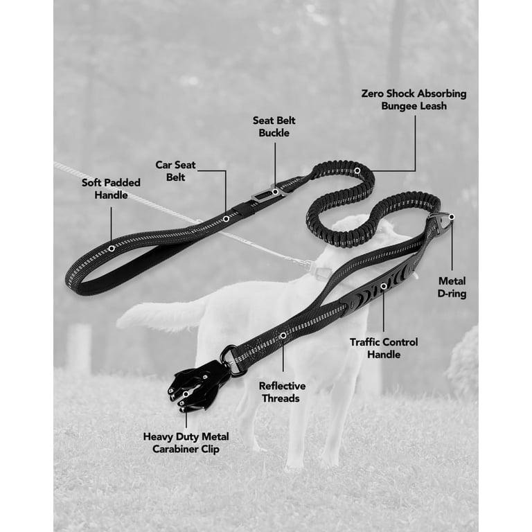Double Handle Bungee Shock Absorbing Dog Leash with Kong Frog Clip