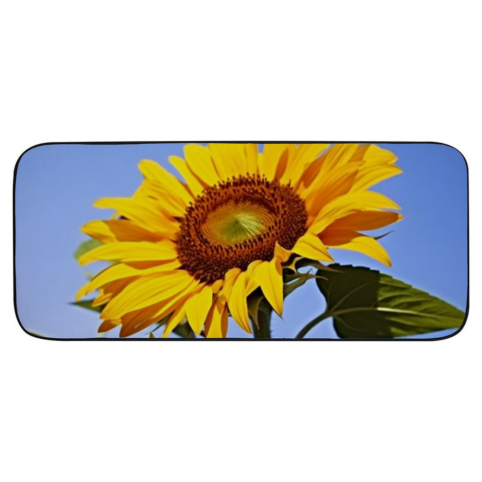 Qinduosi Decorative Door Mat, Door Mat with Non-Slip Rubber Backing, Easy Cleaning, Traps Dirt, for Entry, Patio, Garage 19.68*47.24 in