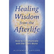Healing Wisdom from the Afterlife : How to Communicate with the Spirit World (Paperback)