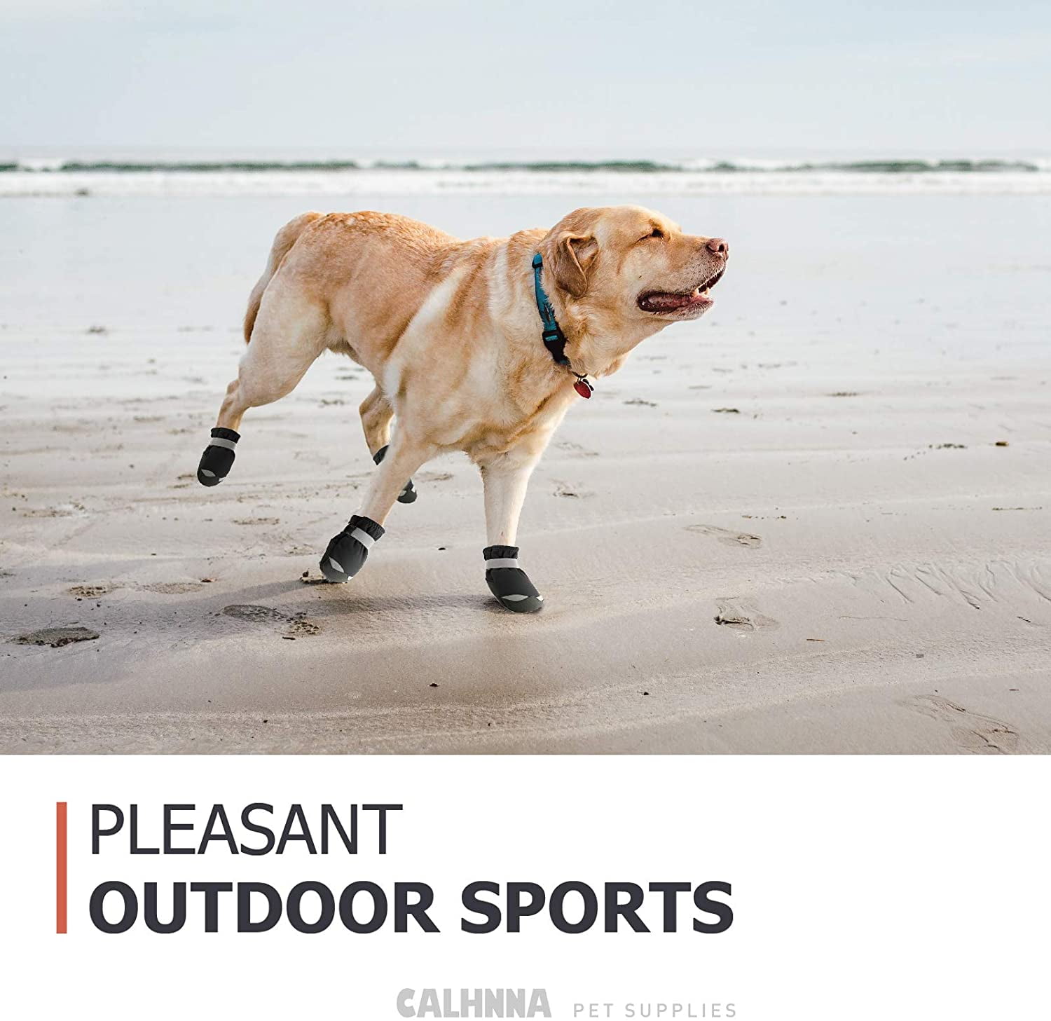 Dog clearance beach booties