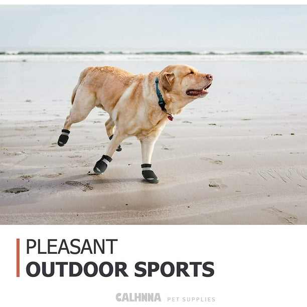 Dog boots hot pavement cheap