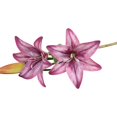 thumbnail image 1 of 1Pc Artificial Flower Decorative Home Decoration Gift Short Branch Fake Lily Bouquet Simulation Flower for Living Room White, 1 of 4