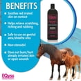 thumbnail image 4 of Eqyss Grooming Eqyss Micro Tek Horse Shampoo, 32 fl oz, 4 of 7