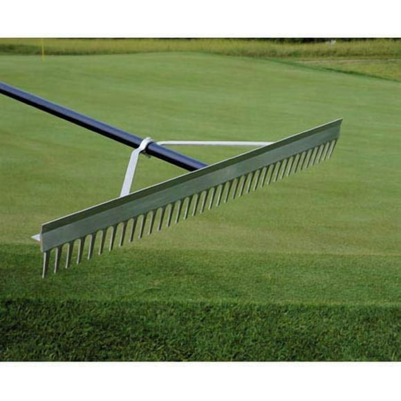 Midwest Rake 20024 24" Head Chisel Tooth Rake, 66" Blue Aluminum Handle