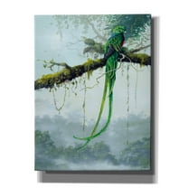 Epic Graffiti 'Resplendent Quetzal' by Harro Maass, Canvas Wall Art, 12"x16"