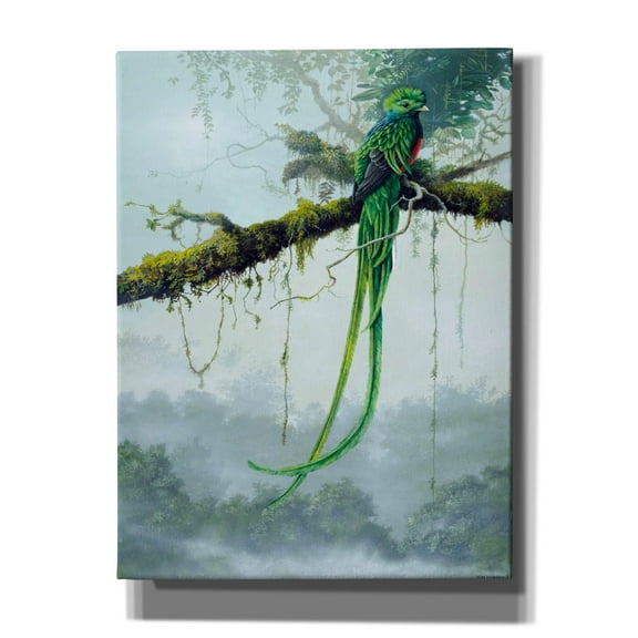 Epic Graffiti 'Resplendent Quetzal' by Harro Maass, Canvas Wall Art, 12"x16"