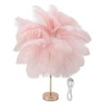thumbnail image 2 of Ostrich Lampe de Table en Plumes, 30 Pcs Plumes 3 Couleurs Gradation Sans Fil Rechargeable par USB Commande Tactile Veilleuse de Bureau, Ampoule de Lampe de Chevet Décorative Moderne Incluse pour Chambre Salon, 2 of 8