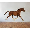 thumbnail image 2 of Wallhogs Trotting Horse Cutout Wall Decal, 2 of 2