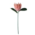 thumbnail image 1 of Tela de seda Flor falsa Oficina en casa Decoración floral Fiesta Ceremonia Flor artificial Fotografía Prop, Rosa Jumpingount HA6650-03B, 1 of 6