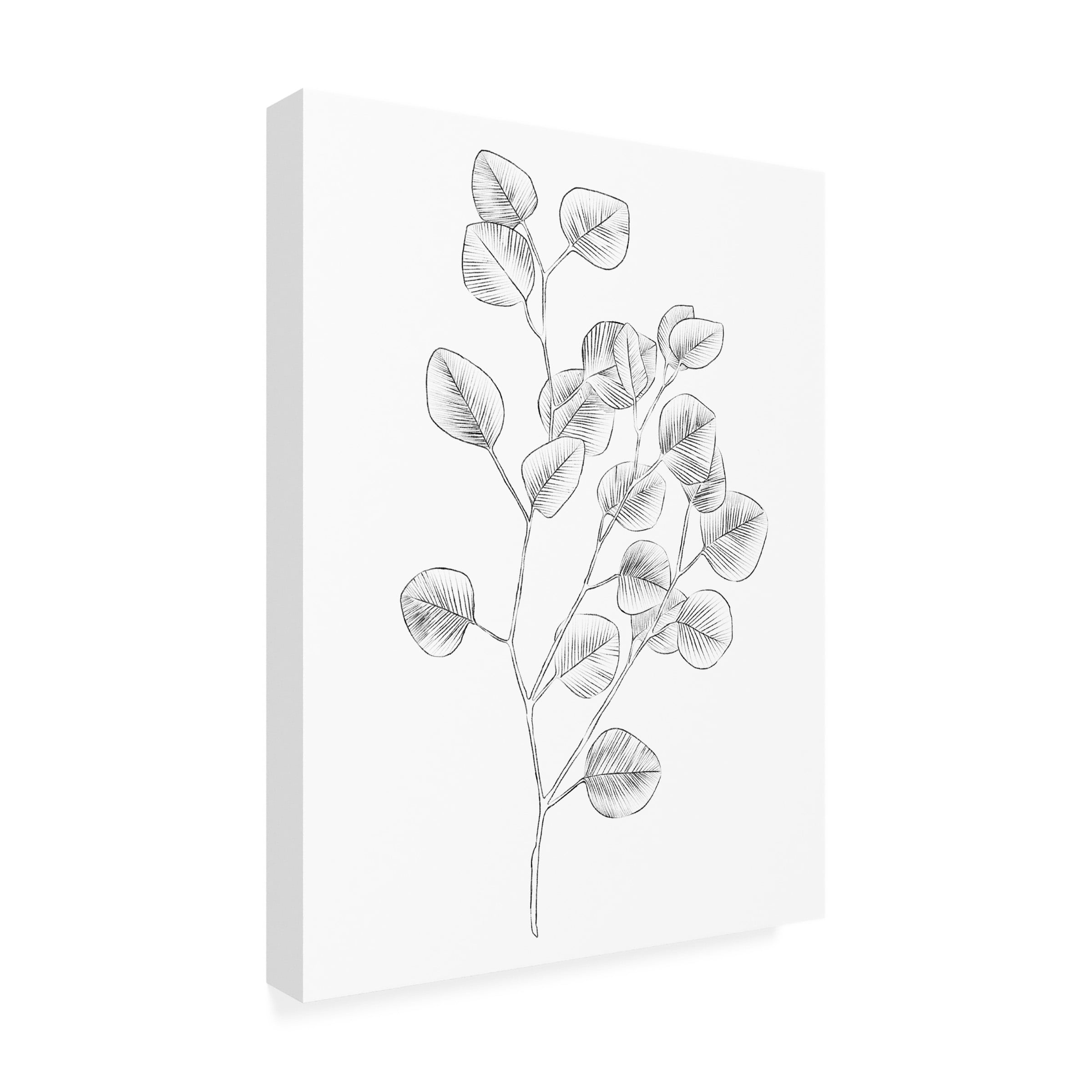 Emma Scarvey 'Eucalyptus Sketch III' Canvas Art