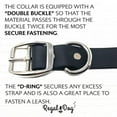 thumbnail image 5 of Regal Dog Products Waterproof Collar & 5ft Leash Set Heavy Duty Biothane, 5 of 7