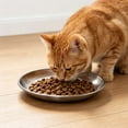 thumbnail image 3 of Shallow Wide Stainless Steel Pet Food Plate Anti-Slip Flat Cat Dog Feeding Dish Metal Pet Bowl for Cat Small Medium Dogs,1pack, 3 of 4