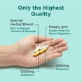 thumbnail image 5 of BB Company Slim Gut Bundle - Provitalize and Previtalize, 60 Capsules Each, 5 of 8