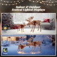 thumbnail image 5 of 2-Piece Lighted Reindeer Christmas Decoration Family Set, 47" Buck 24" Fawn, Outdoor Yard Christmas Decorations with 220 Lights, Indoor/Outdoor Festive Holiday Decoration (Brown), 5 of 7