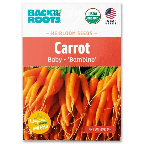 Back to the Roots Organic Carrot 'Bambino', 1 Seed packet