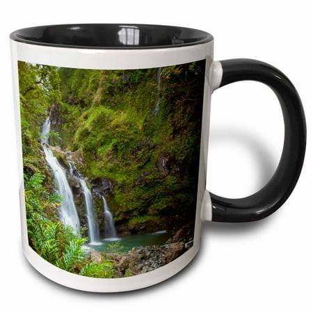 

3dRose Waikani Waterfalls Hana Coast Maui Hawaii USA - US12 DPB2641 - Douglas Peebles - Two Tone Black Mug 11-ounce