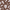 Brown Leaf 2, variant on MeyJey Outdoor Rug, 6'x9' Reversible Waterproof Area Rug, Plastic Mat for RV Patio Camping, Teal