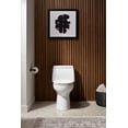 thumbnail image 2 of Kohler 30810-7 Santa Rosa Revolution 360 1 Piece 1.28 GPF Single Flush Elongated Toilet, Black (Seat Included), 2 of 3