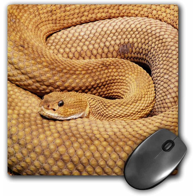 3D Rose"Snake. Basilisk Rattlesnake. Wildlife." Matte Finish Mouse Pad - 8 x 8" - mp_220694_1
