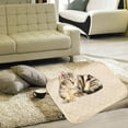thumbnail image 3 of Alfombrilla de arena para de enfriamiento Transpirable Antideslizante Tamaño grande Impermeable Antideslizante No Cuatro prueba - beige, S Colco Alfombrillas de arena para gatos, 3 of 7
