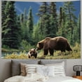 thumbnail image 2 of WYYP Hanging Tapestry Soft Plush Wall Art Home Decor Gift 40x30inch, 2 of 6