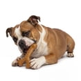 thumbnail image 4 of One Paw, 3 Pack Bamboo Fiber Bone Dog Toys, Durable and Good for Dental Health, Bacon Flavour, Fiber and Nylon Material, 4 of 11