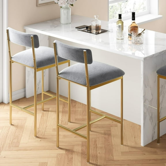 Faitaliicy Dining Table Chair 2Pcs Kitchen Upholstered Chairs for Small Space, Apartment