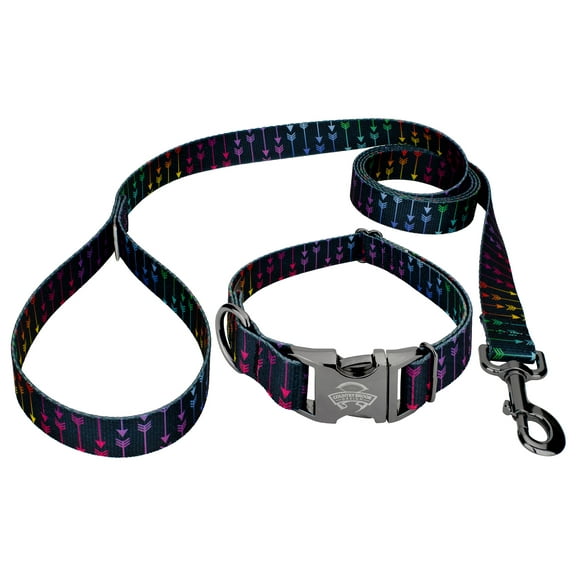 Country Brook Petz® Premium Colorful Arrows Gunmetal Dog Collar and Leash, Extra Large