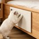 thumbnail image 5 of Rascador de Pared para Gatos: Alfombrilla Alta Antideslizante para Que Tu Gatito Arañe, Juguete Multifuncional para Gatos de Interior Que No Acumula Residuos., 5 of 6