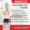 thumbnail image 2 of 2 Pack Vitamin B1 Benfotiamine 750mg Per Serving, 120 C apsules Ultra Bioavailable B Vitamins Supplement, Converted to Active Thiamine | Non-GMO, Gluten Free, 2 of 6
