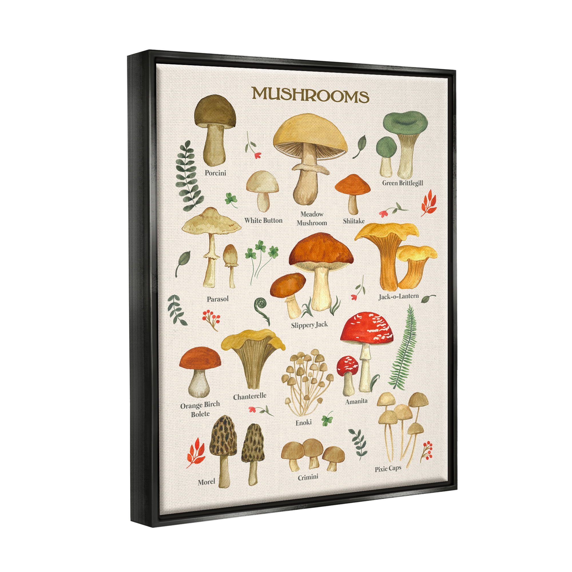 Stupell Industries Foraging Mushrooms Studies Botanical & Floral Painting Black Floater Framed Art Print Wall Art, 17 x 21